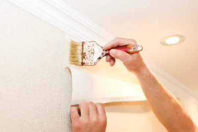 Pose de papier peint à Bourg-des-Maisons — revêtements muraux et toiles de verre
